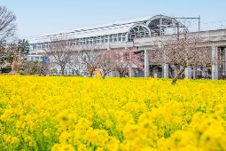 川和商店街