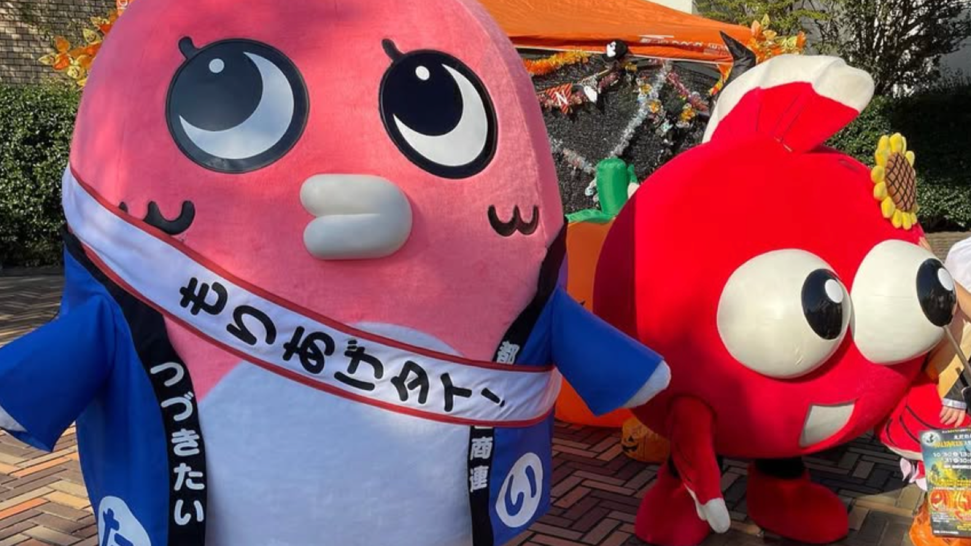 つづきたいとえだきんぎょ